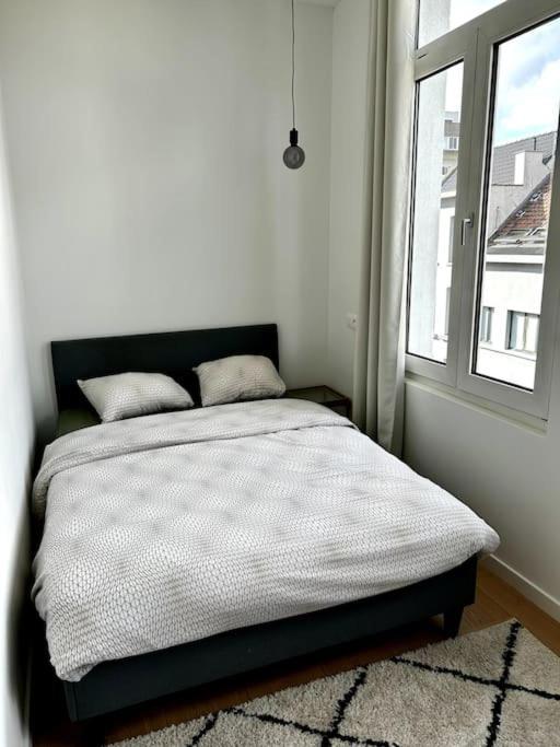 אנטוורפן Apartment Near Central Station מראה חיצוני תמונה